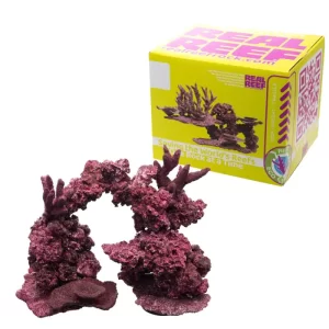 Real Reef Arches Rock