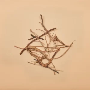 "Bits and Pieces"- Assorted Small Root and Twig Sections (20 pcs.)