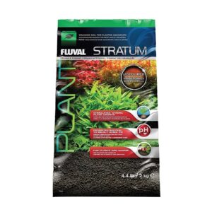 Stratum