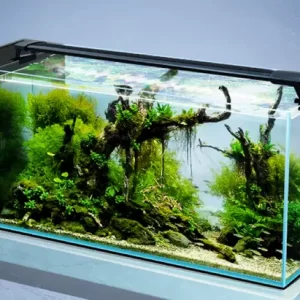 Yi Ding Aquarium Ultra-White Clear 45° Mitered Edges Translucent Glass Tank With Built-in Side Filter 4-80 Gallons Series