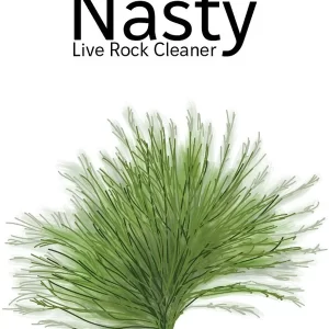 Nasty Rock Cleaner