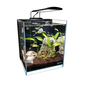 8.3 Gallons 45° Beveled Edge Low Iron Ultra Clear Aquarium - 11.81" x 11.81" x 13.77"