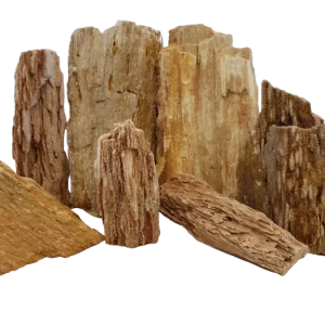 Burma Petrified Stone - 44 Lbs box of MEDIUM size stones