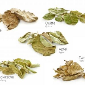 Obstbaummix / Obstbaumblätter