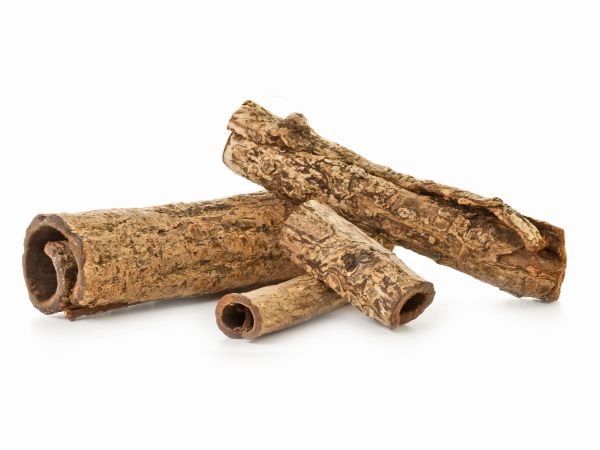 Seemandelbaumröhrchen