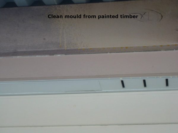 KleanMOULD 20 Mould Cleaner Remover Spray and Walk Away in 30 sec - Image 4